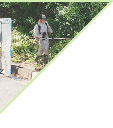 メインビジュアル