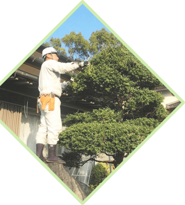 メインビジュアル