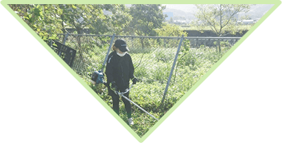 メインビジュアル