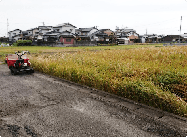 平地・傾斜地草刈り